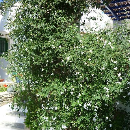 Porto Vlastos Agios Ioannis  Zewnętrze zdjęcie