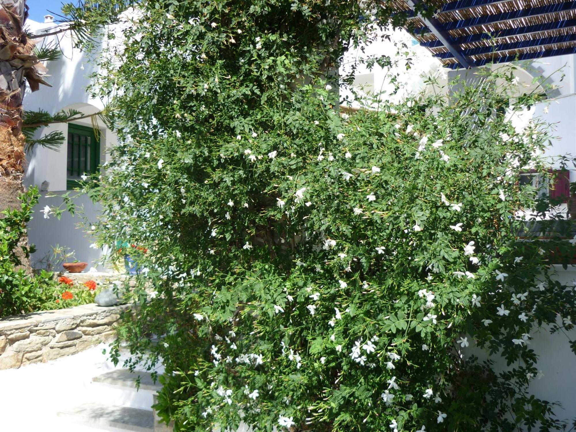 Porto Vlastos Agios Ioannis  Zewnętrze zdjęcie